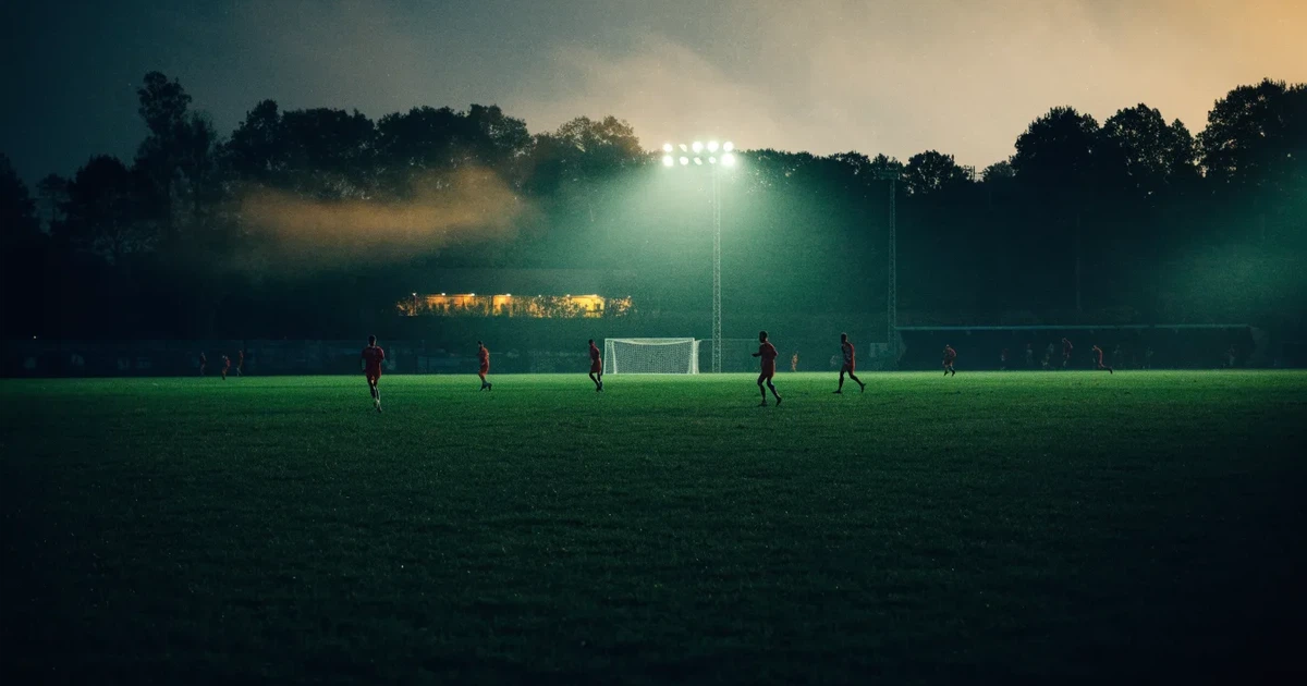 Ein Stadion unter Flutlicht, aus großer Entfernung über eine dunkle Wiese fotografiert, am Himmel zieht Nebel auf.
