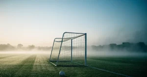 Ligue 1 Wetten in Deutschland: Anbieter, Quoten und das Monatslimit